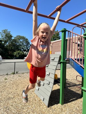the-como-monkey-bars
